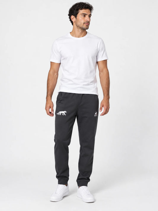 Pantalon Le Coq Sportif Pumas Lifestyle 2025 Whsl Gris — vista principal