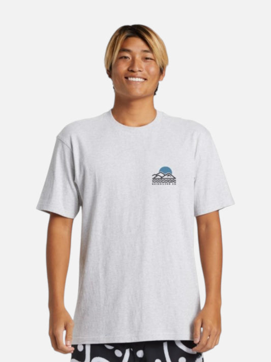 Remera Quiksilver Blue Lines MT0 Gris
