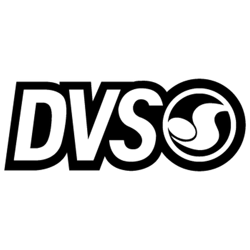 DVS Shoes