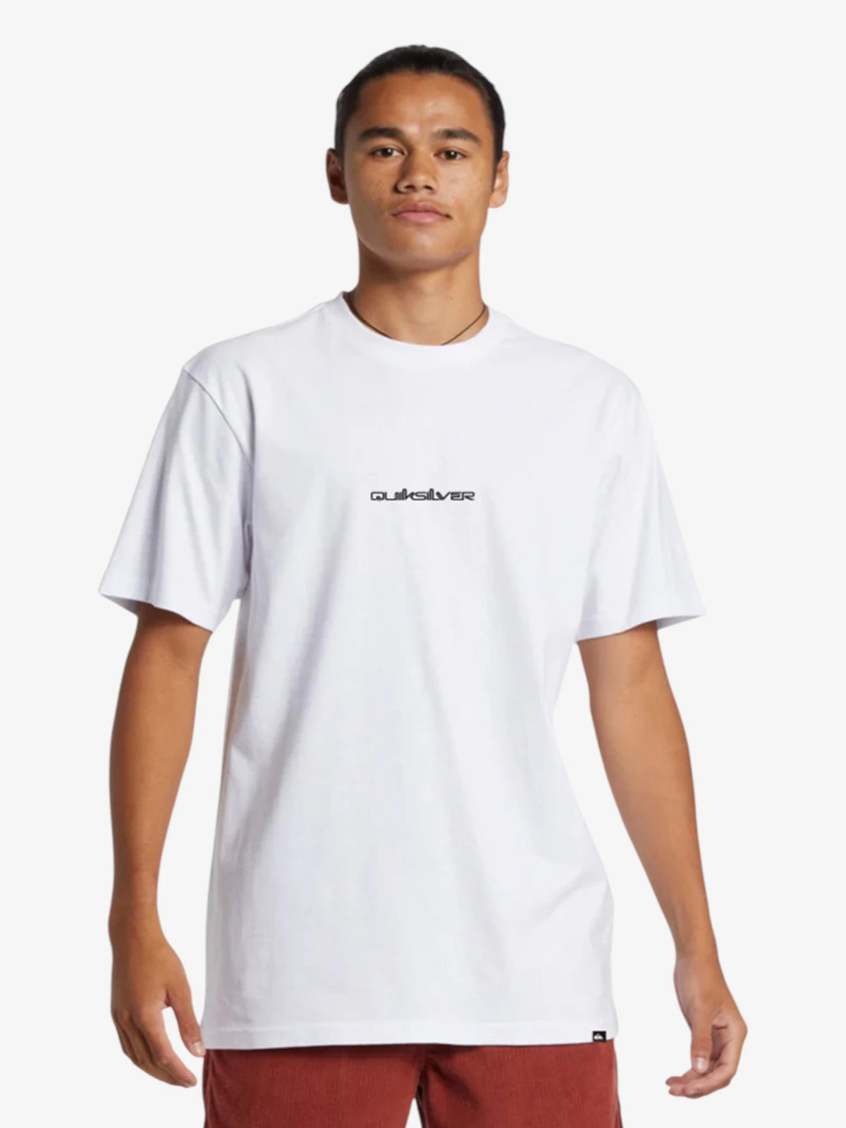 Remera Quiksilver Qs Omni Logo DNA Beige - Indy