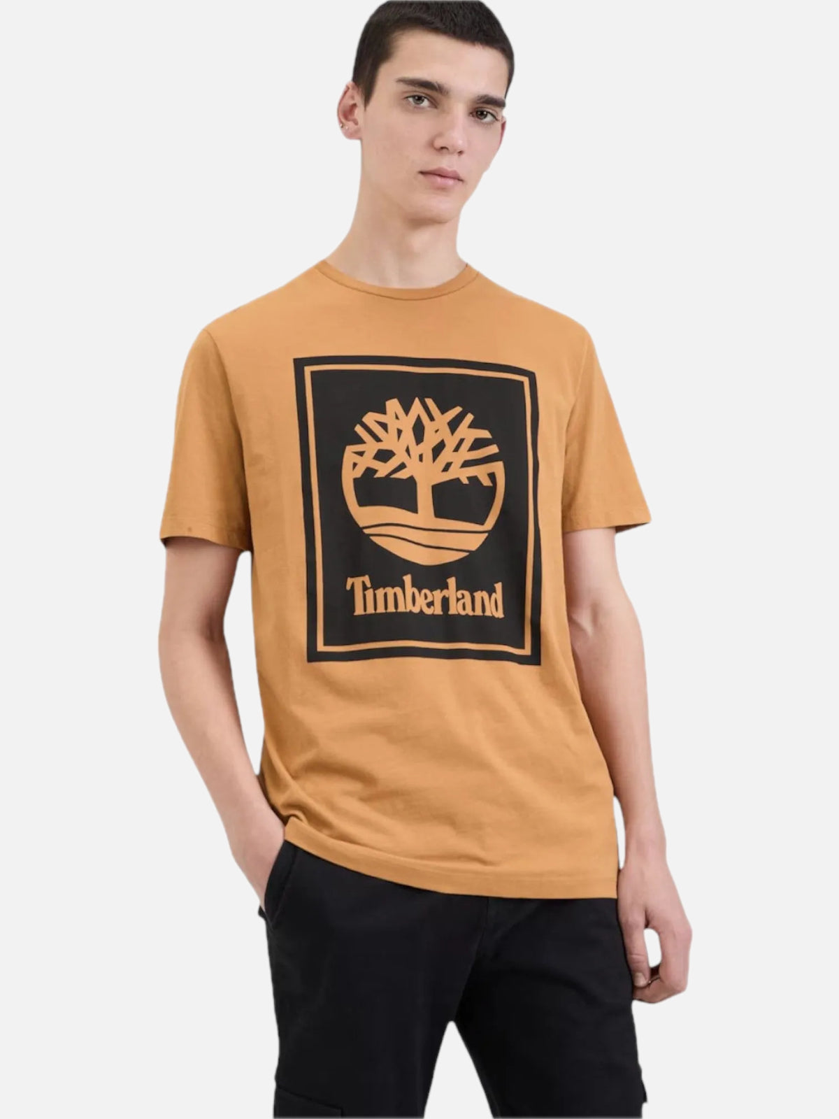 Remera Timberland Logo Bloque Marrón — vista principal