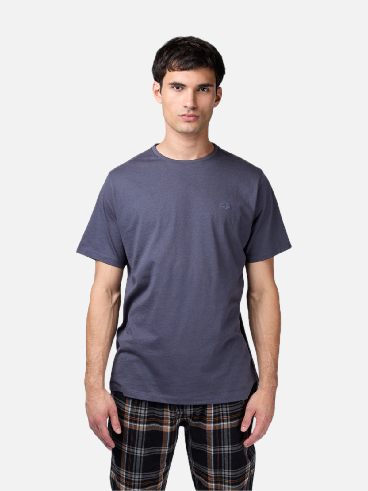 Remera Elepants Smith Gris — vista principal