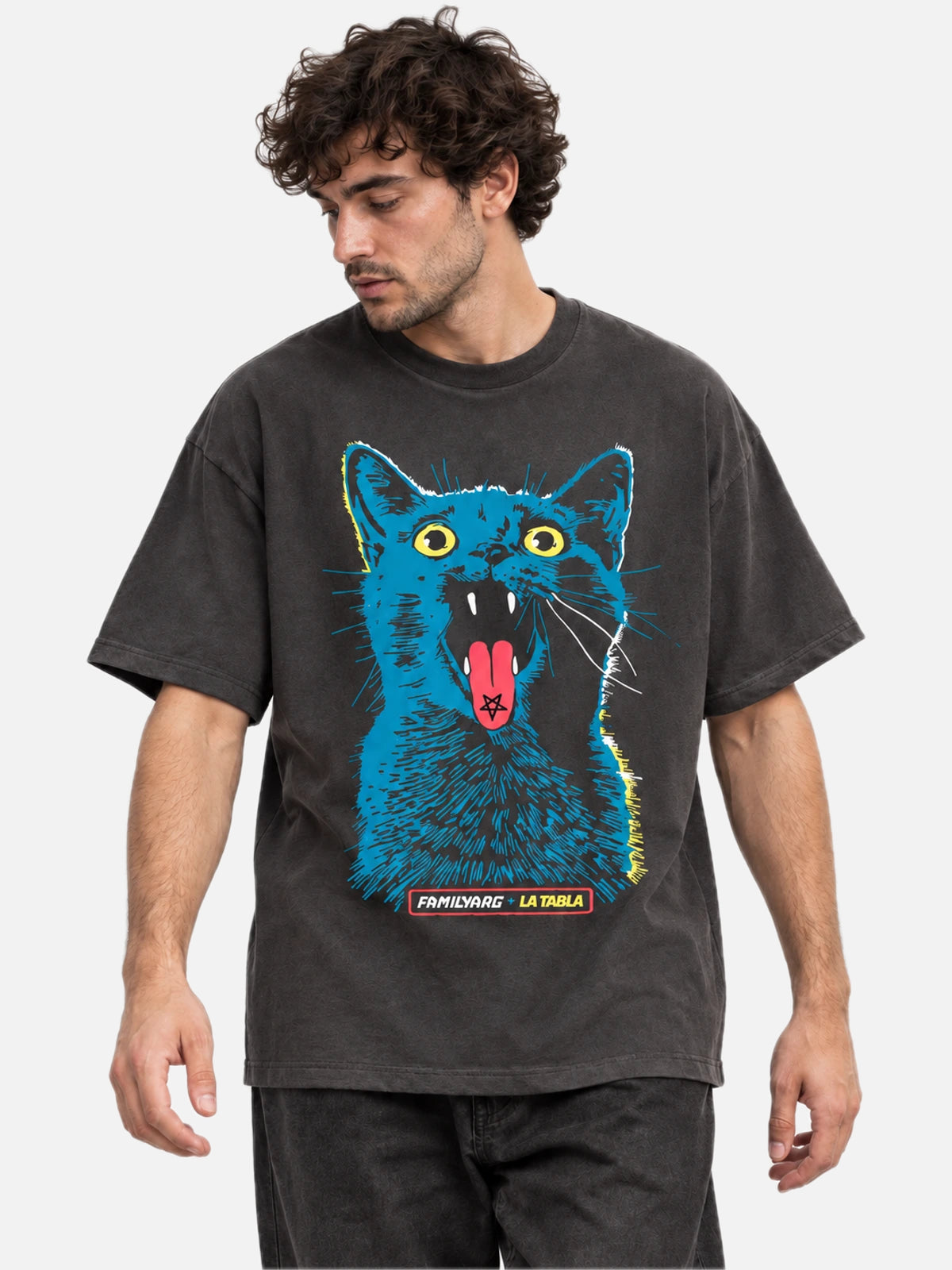 Remera Familyarg Eh! Gato Supersized Gris Topo — vista principal