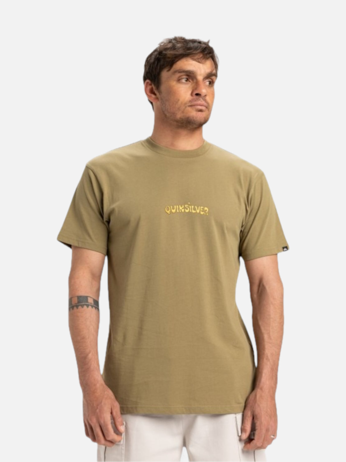 Remera Quiksilver Disconnect Effects Verde Beige — vista principal